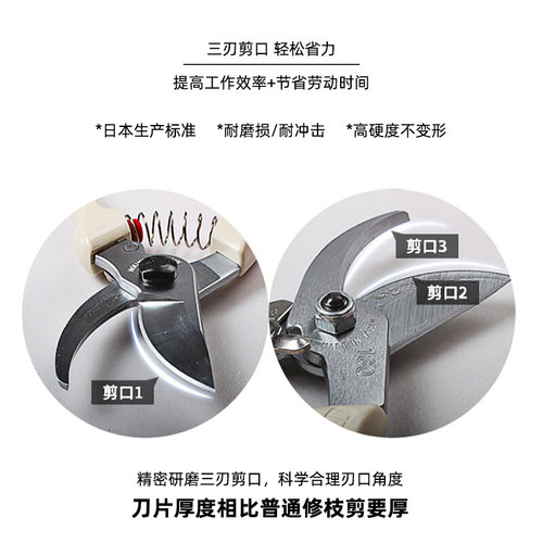好货130DX 园艺进W口家用工具修剪粗树枝剪刀果树花剪园林