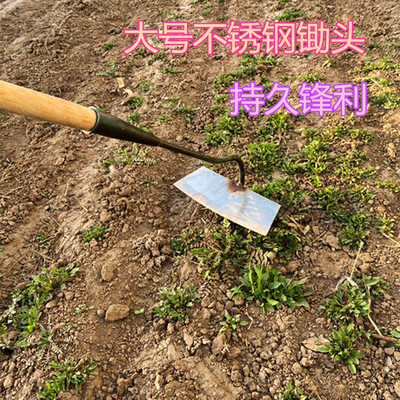 2023大锄头农具不锈钢锄草挖土开荒翻地种菜家用除草专q用工具铲