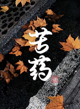 闻起来比命苦 药感迷人禁欲冷感文青中药铺香生人勿近 手作香氛