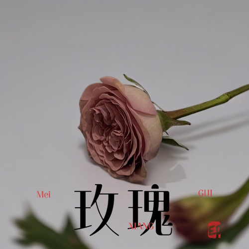 不踩雷的经典高分玫瑰