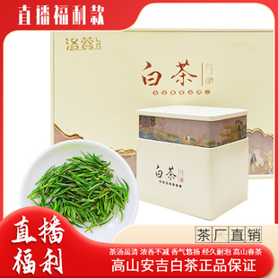 4号安吉白茶兰花香绿茶