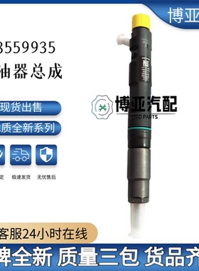 28559935轻卡瑞狮玉柴160电喷4108/4110发动机配喷油器总成