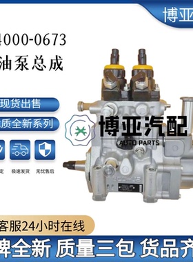 094000-0673喷油泵总成115603-5135 适用于GIGA 6WG1发动机