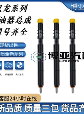 双龙EJBR04701D EJBR04501D EJBR02601Z喷油器总成全新品质