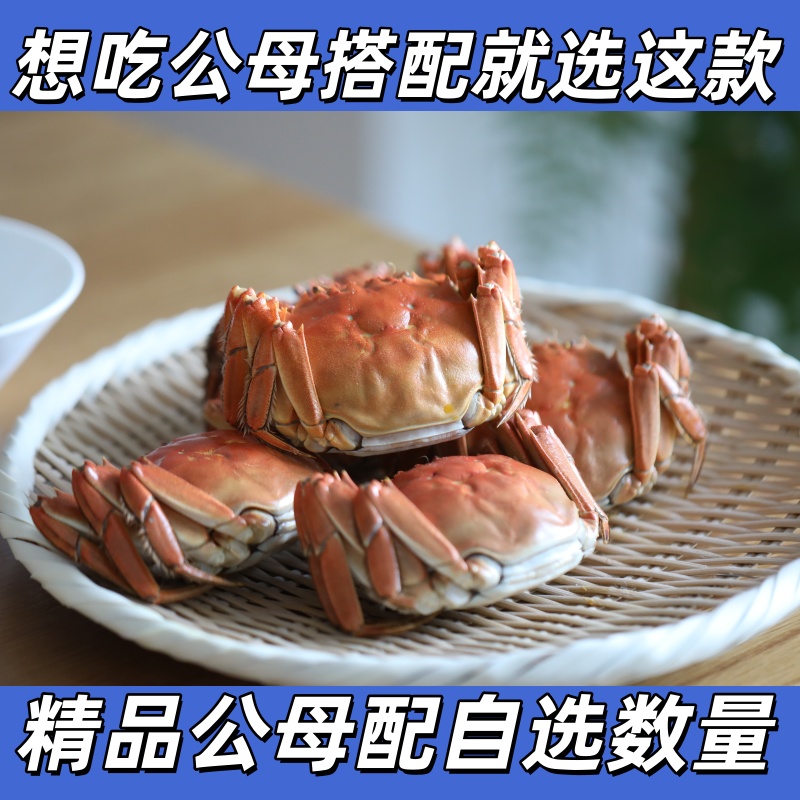 新鲜大闸蟹螃蟹鲜活公母搭配满黄