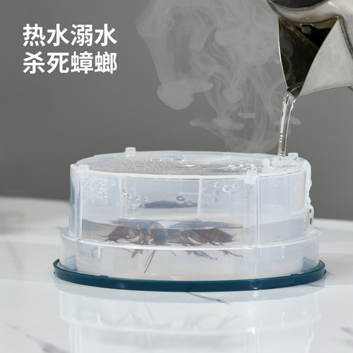 蟑螂捕捉诱捕器蟑螂盒家用安全无毒物理捕捉蟑螂屋分离式抓灭蟑螂