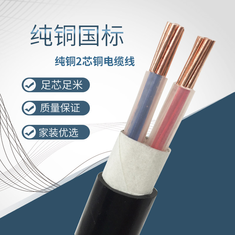 铜芯电缆两二芯YJV2*10/16/25/35平方2芯纯国标阻燃户外国标电线,办公设备/耗材/相关服务,办公线材,淘宝优惠券,粉丝福利购,淘宝优惠卷