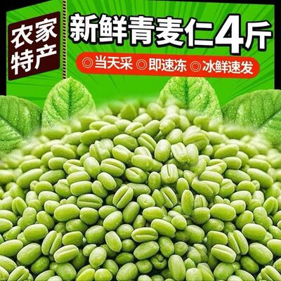 头茬河南农家新鲜速冻麦仁煮粥小麦粒去皮青麦仁青麦子