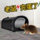 老鼠夹家用专业新型老鼠夹捕鼠老鼠笼耗子笼铁网扑抓补诱捉老