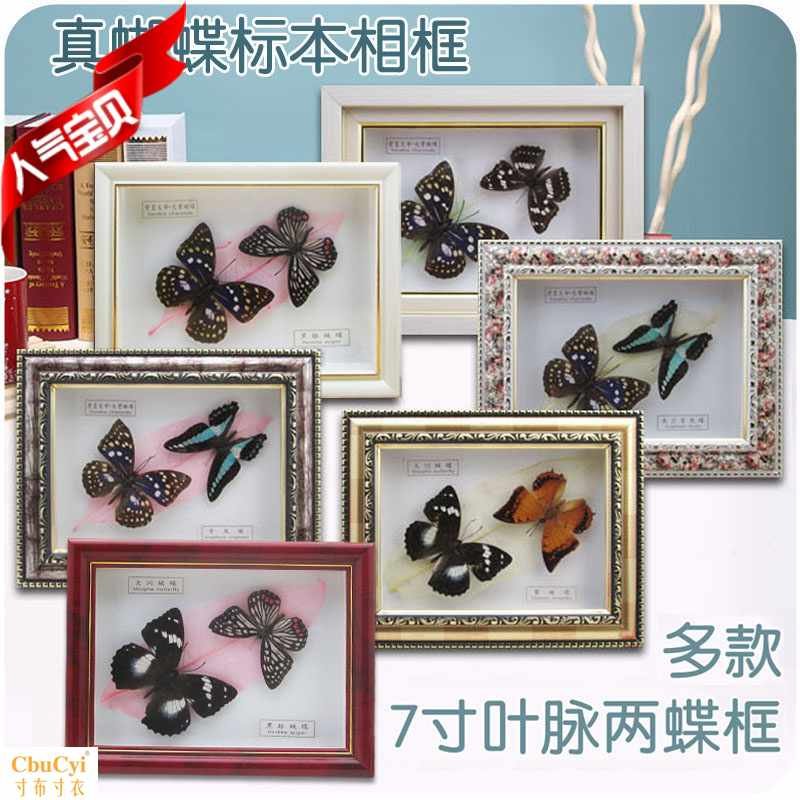 直销7寸长方形相框蝴蝶叶脉标本 家居装饰科普墙画 教具观赏奖在类目 家居饰品, 相框/画框中 - 来自Buy2taobao.com提供专业的淘宝代购服务