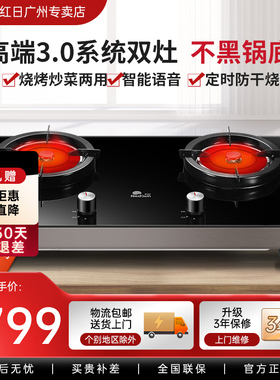 红日ES009B红外线燃气灶双灶台式液化气灶具煤气灶炉家用天然气灶