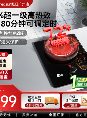 Redsun/红日 EX03B红外线家用燃气灶天然气液化气灶定时免改孔