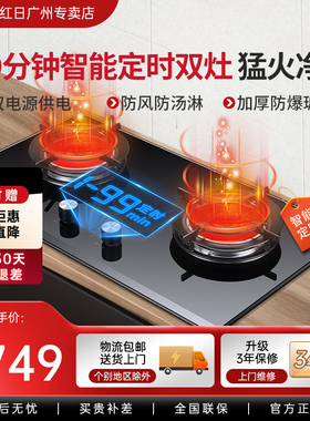 红日608B红外线燃气灶台嵌入式天然气液化气双灶定时家用煤气灶具