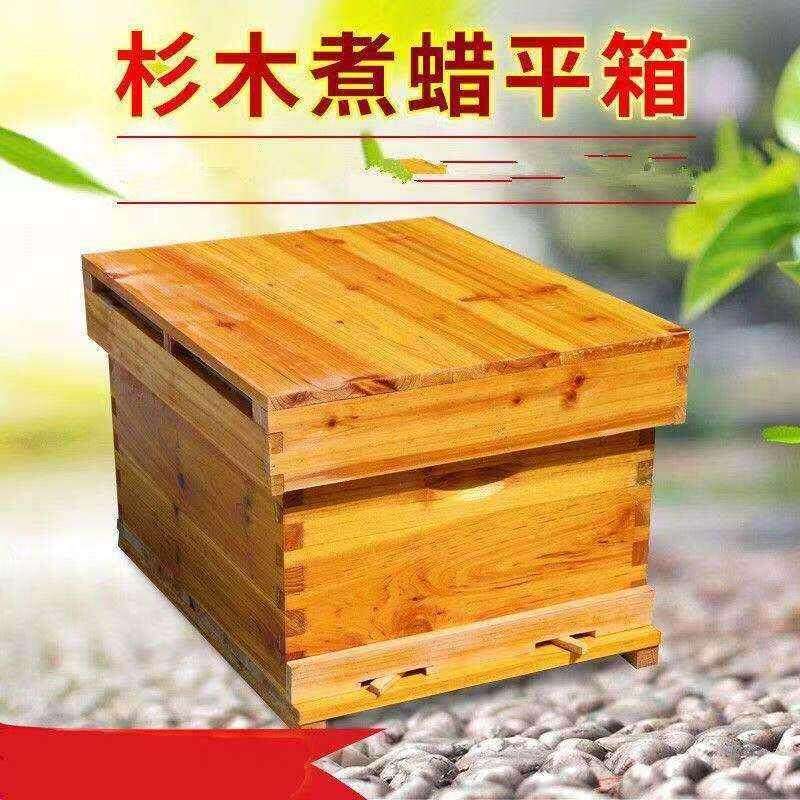 蜜蜂中蜂蜂箱全套煮蜡峰箱全杉木标准十框蜂桶包邮蜂巢养蜂工具