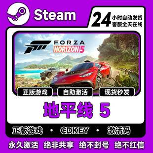 steam正版地平线5激活码CDKEY入库Forza Horizon 5全DLC线上联机