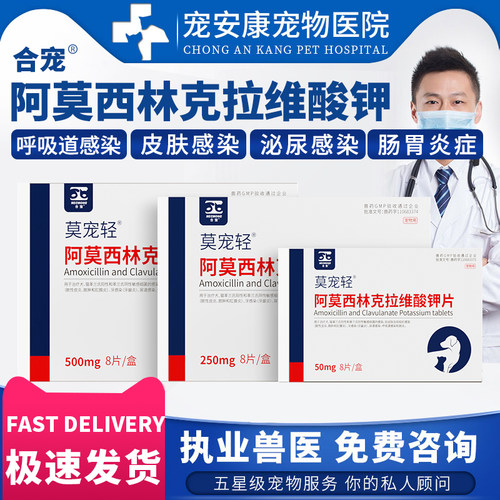 阿莫西林克拉维钾宠物药感冒咳嗽
