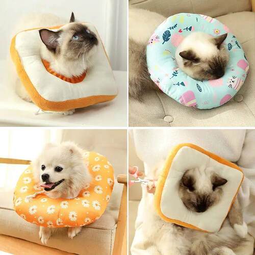 Elizabeth Circle Collar for Cat and Dog, Collar for Pet, Ant