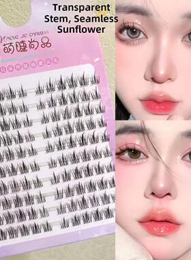 Natural Lash Clusters 120pcs Individual Eyelashes Wispy