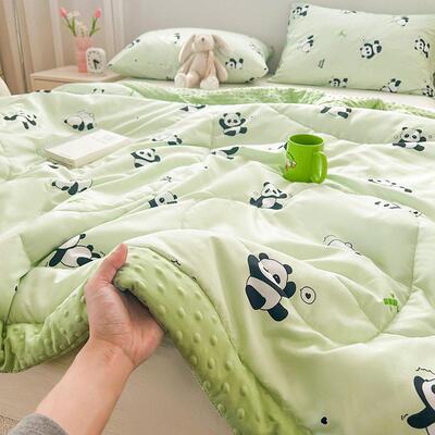 Sofe Comforter Duvet Blanket Air Condition Quilt Summer 夏被