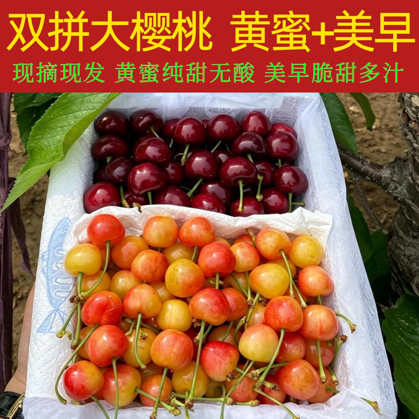 现货黄蜜下单顺丰速发