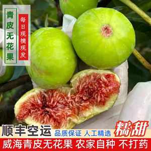 【现货】新鲜无花果下单极速发