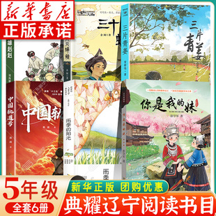 2025典耀辽宁五年级课外书阅读 你是我的妹名作精编 三片青姜雨季的阳光三十六只蜂箱中国轨道号小兵雄赳赳 小学5年级课外阅读