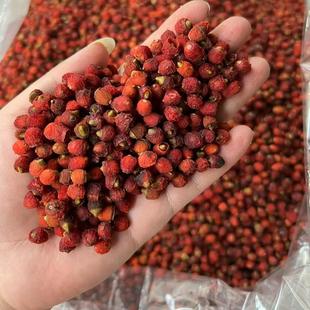 野生红豆杉果子泡水泡酒果实干500g红豆果子干果种子中药材