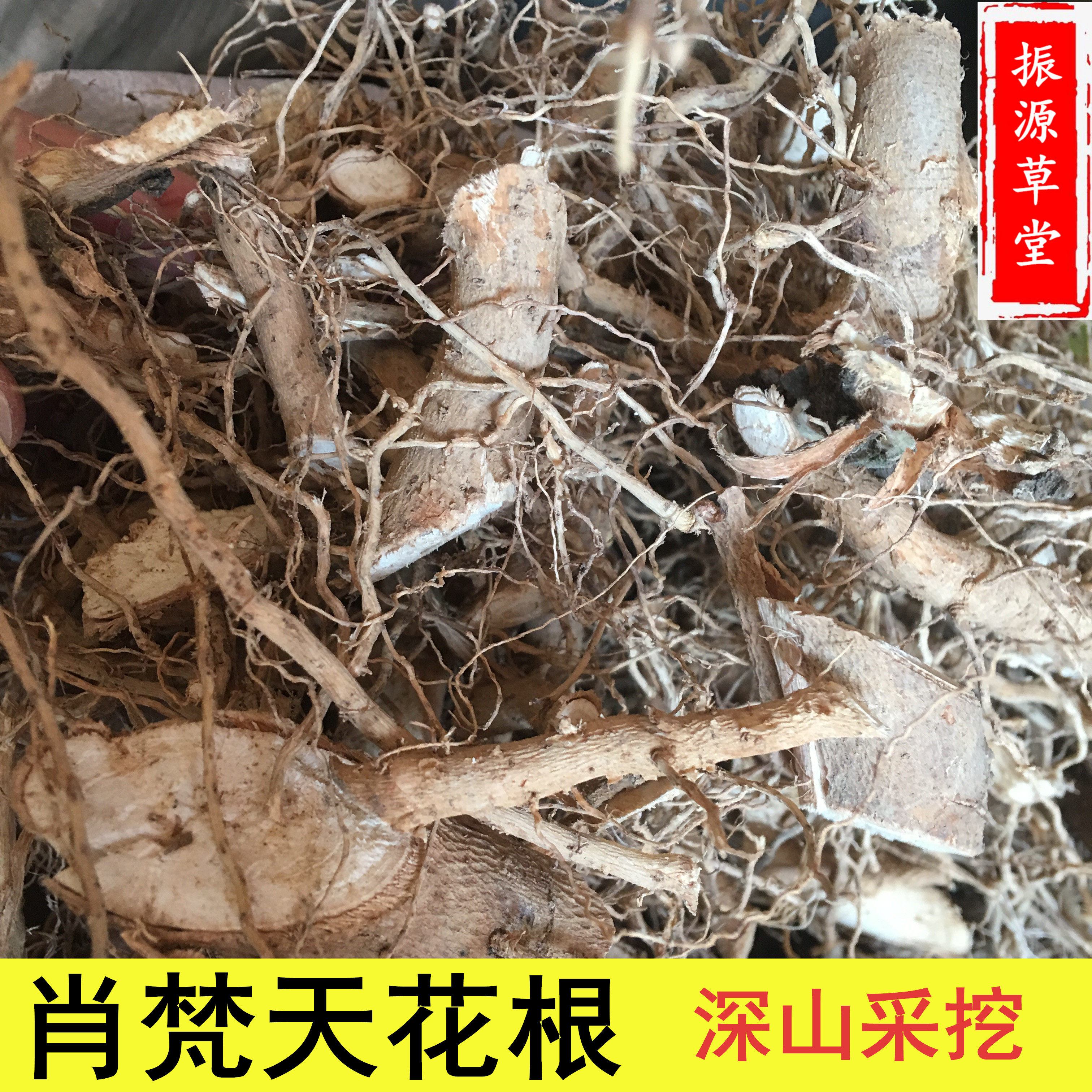 肖梵天花根 中药材地桃花 梵天花根 野棉花根 狗脚迹500克包邮
