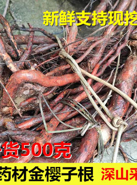 中药材金樱子根500g干品 纯根 药材脱骨丹金英根农家自采晒干
