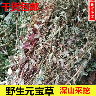 中药材元宝草 野生合掌草 对月草 对经草 叶抱枝 哨子草500克包邮