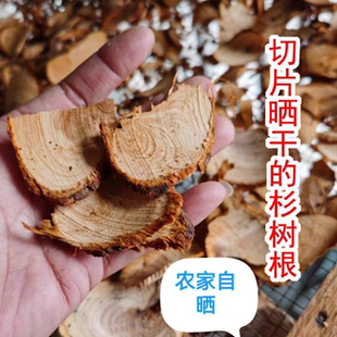 2024新晒中药材杉木根 杉树根杉树纯根农家手工砍片干货500克包邮