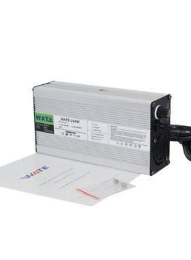 25.2V5A 8A 10A 20A充电器适用于6S 24V锂离子电池P 智能 接头可