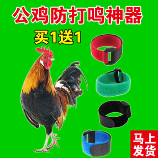 防止公鸡防打鸣神器防叫器止鸣器闭嘴防吵项圈孔雀鸭鹅通用不伤鸡