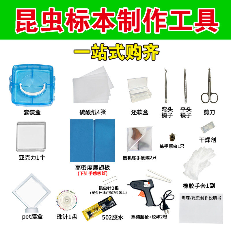 甲虫蝴蝶昆虫标本制作工具全套材料套装展翅板展示盒自己动手DIY图片