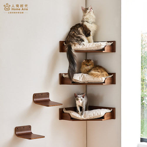 墙角实木猫窝猫爬架猫玩具
