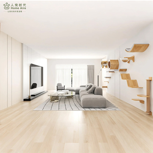 HomeAire上墙猫爬架客厅猫窝不占地水曲柳色定制免费设计排版跳台