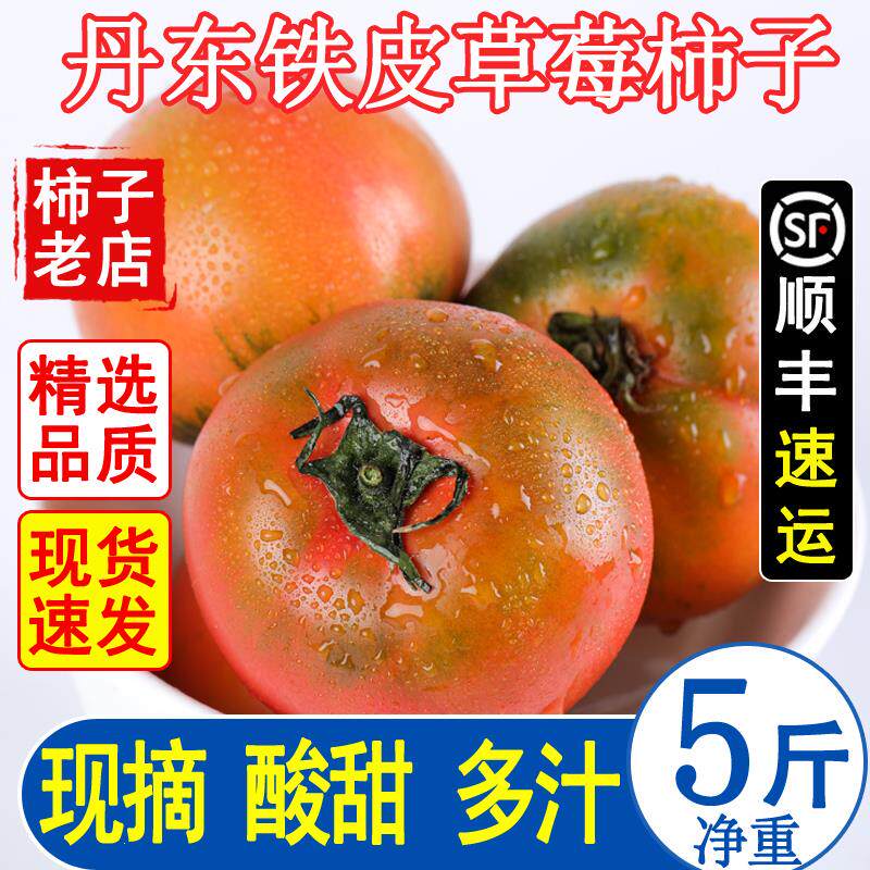 正宗铁皮草莓柿子大连即食新鲜盘锦碱地自然熟绿腚西红柿水果番茄