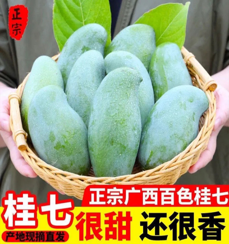 广西芒果新鲜10斤桂七芒果整箱田东百色当季贵七现摘水果顺丰包邮