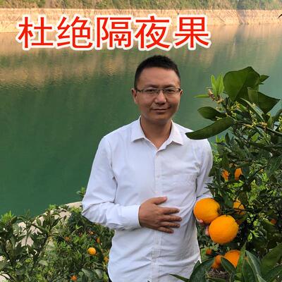 橙子新鲜湖北秭归伦晚脐