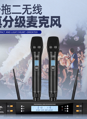 专业真分集一拖二无线话筒U段防啸叫手持头戴会议演出KTV 麦克风