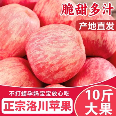 陕西洛川红富士苹果产地直发