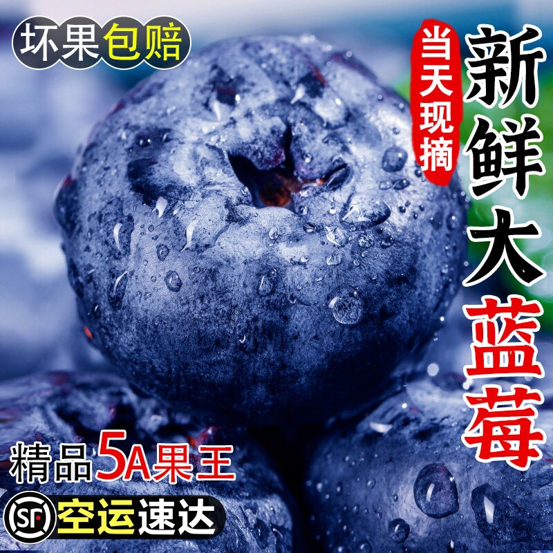 现摘云南蓝莓新鲜水果L25花香蓝莓鲜果大果野生蓝莓怡颗梅同源