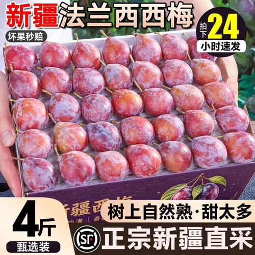 正宗新疆法兰西西梅4斤新疆直发