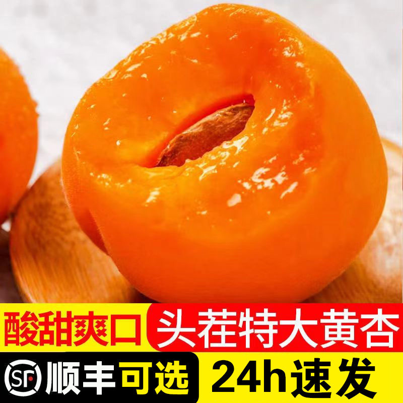 【顺丰可选】杏子新鲜水果山西大黄杏5斤当季孕妇水果金太阳杏