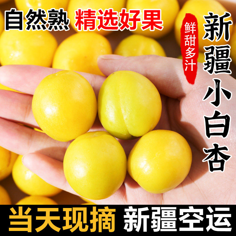 【新疆直发】新疆小白杏子新鲜水果4斤树上熟当季鲜果现摘现发