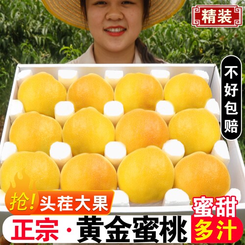 新鲜黄桃9斤大果鲜甜多汁