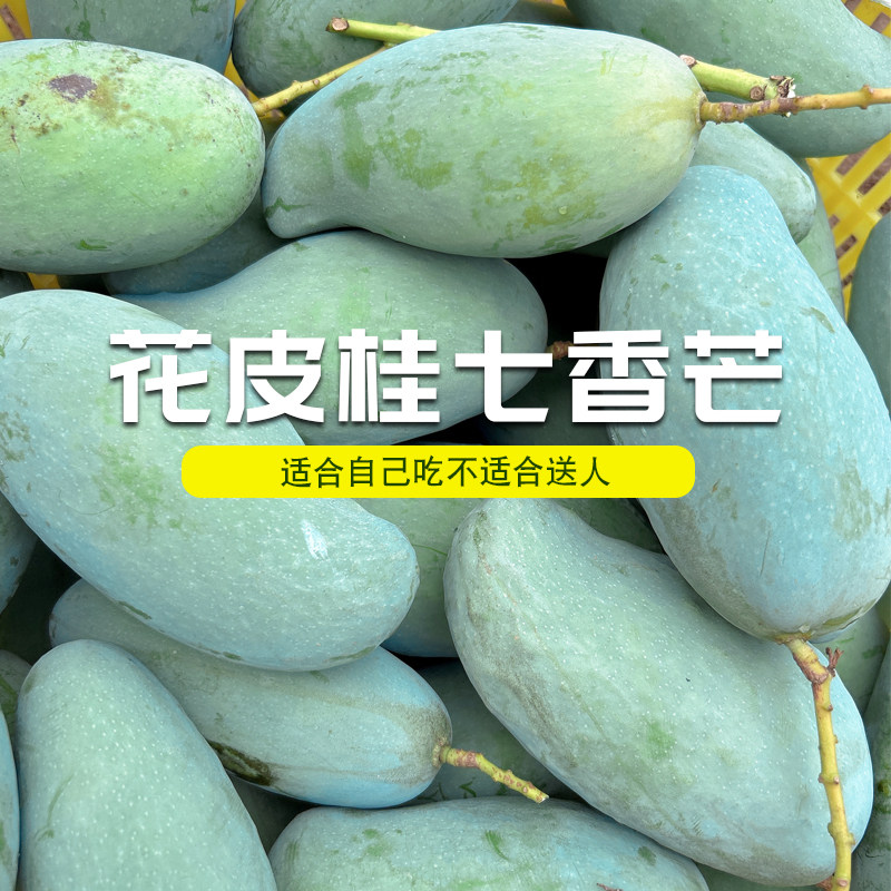 【真桂七-田东发货】树熟现摘香芒老树花皮更香甜应季新鲜水果