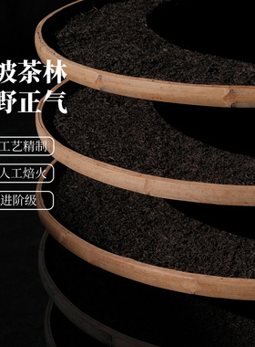 山野气100g 雅安山乙藏茶芽细 2018年高山老川茶厂精制黑茶叶S6级