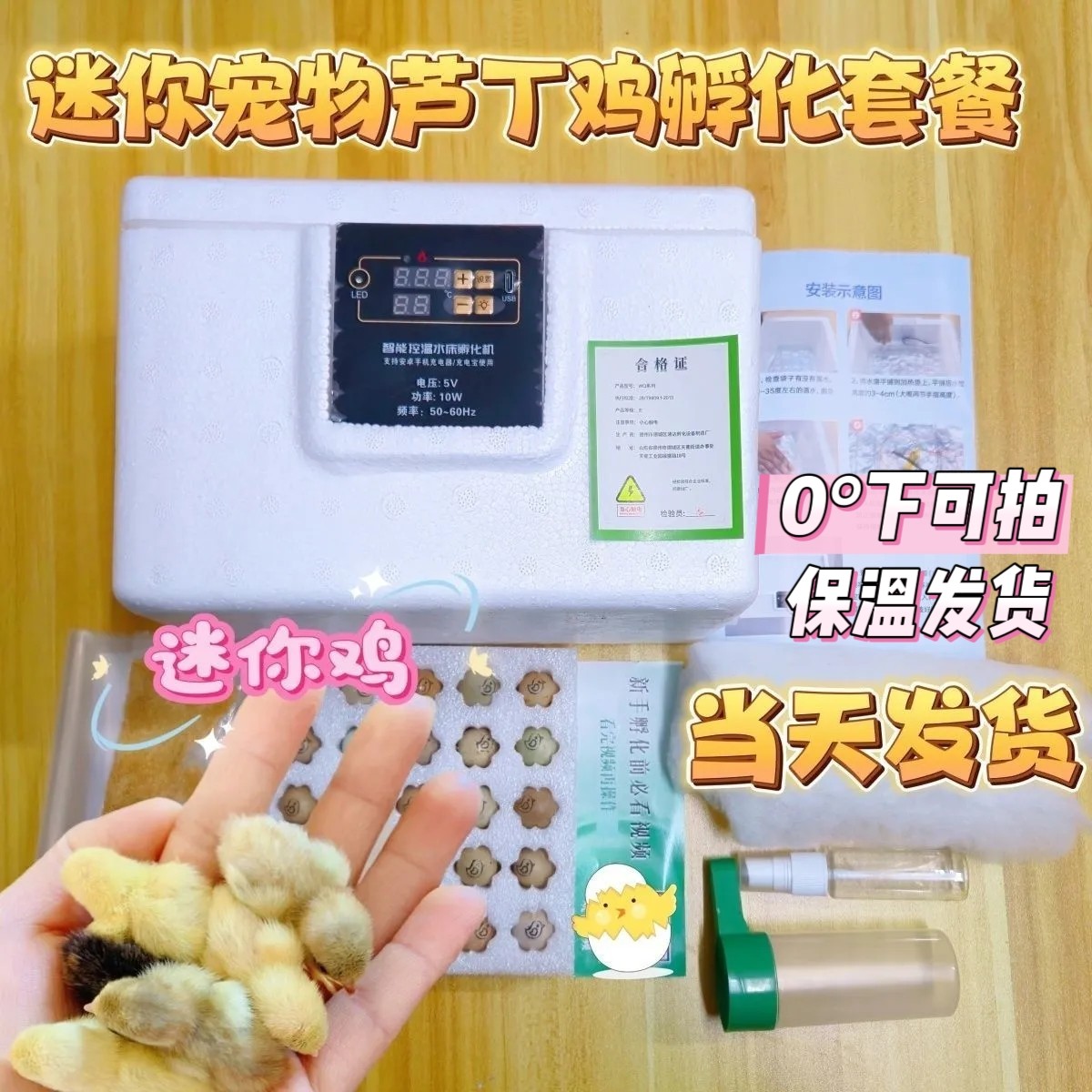 芦丁鸡蛋孵化大礼包全套(含受精蛋+孵化器)家庭萌宠宠物宠物鸡,宠物/宠物食品及用品,宠物鸡,淘宝优惠券,粉丝福利购,淘宝优惠卷