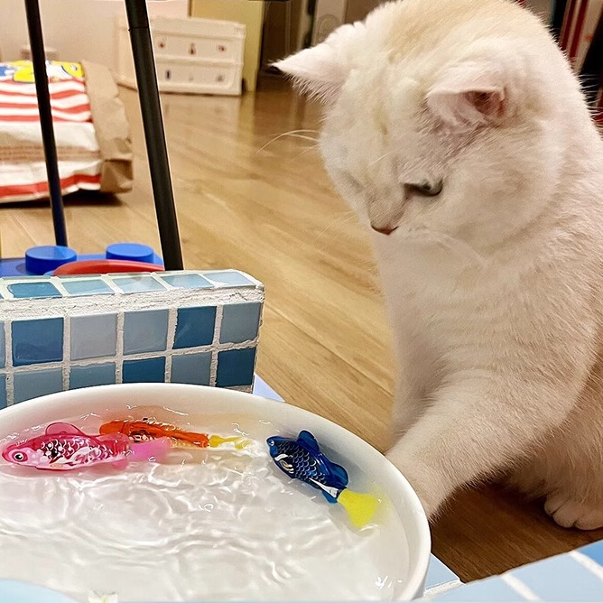 猫玩具自嗨解闷神器发光仿真小丑鱼会游泳逗猫电动小鱼电子感应鱼